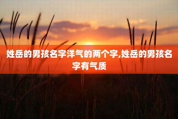 姓岳的男孩名字洋气的两个字,姓岳的男孩名字有气质