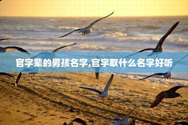 官字辈的男孩名字,官字取什么名字好听
