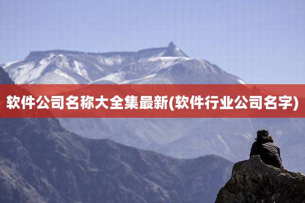 软件公司名称大全集最新(软件行业公司名字)