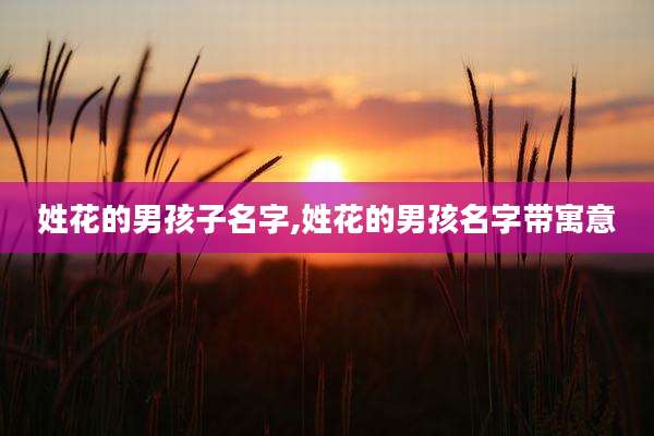 姓花的男孩子名字,姓花的男孩名字带寓意