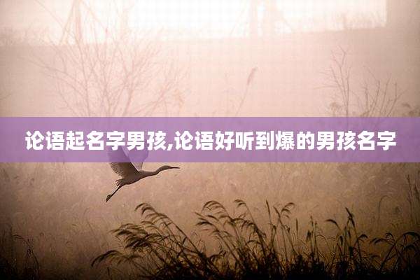 论语起名字男孩,论语好听到爆的男孩名字