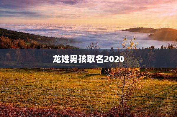龙姓男孩取名2020