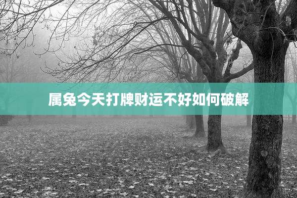属兔今天打牌财运不好如何破解