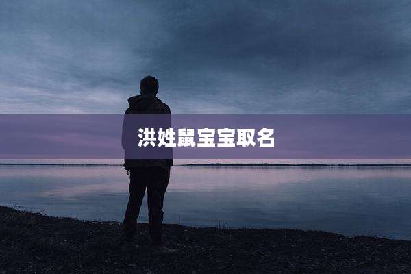 洪姓鼠宝宝取名
