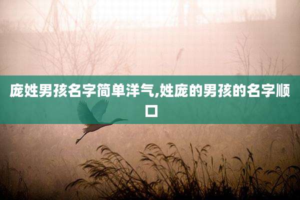 庞姓男孩名字简单洋气,姓庞的男孩的名字顺口