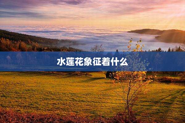 水莲花象征着什么