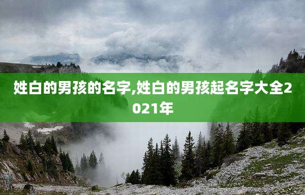 姓白的男孩的名字,姓白的男孩起名字大全2021年