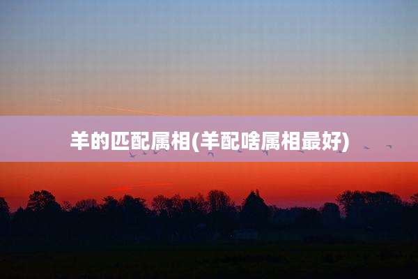 羊的匹配属相(羊配啥属相最好)