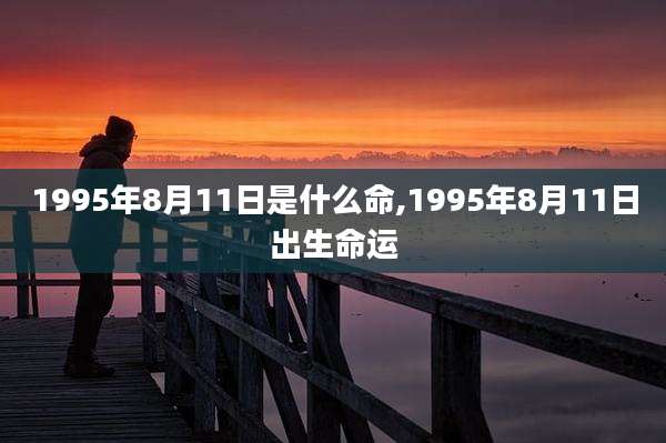 1995年8月11日是什么命,1995年8月11日出生命运