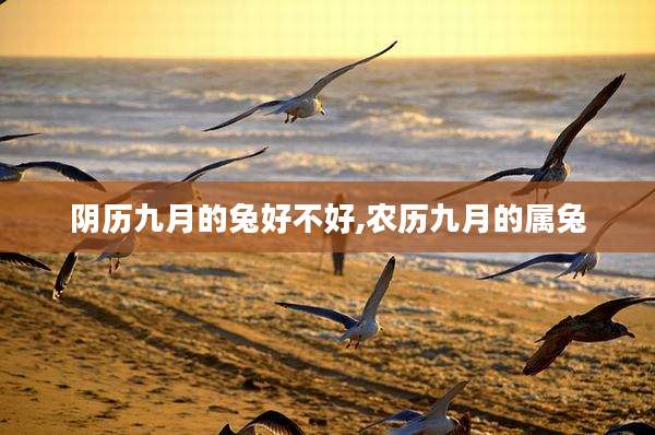 阴历九月的兔好不好,农历九月的属兔