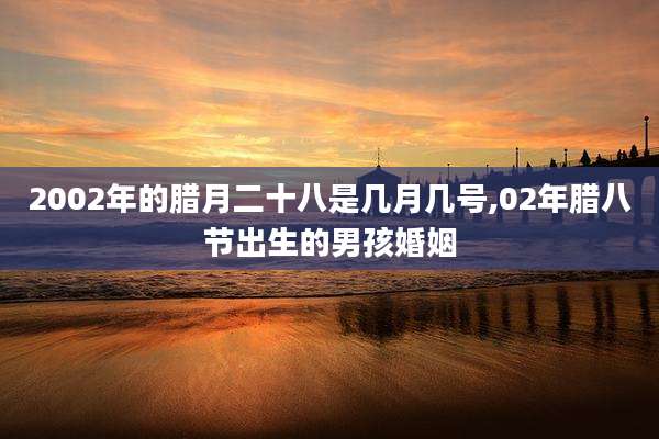 2002年的腊月二十八是几月几号,02年腊八节出生的男孩婚姻