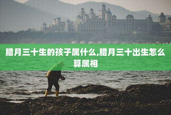 腊月三十生的孩子属什么,腊月三十出生怎么算属相