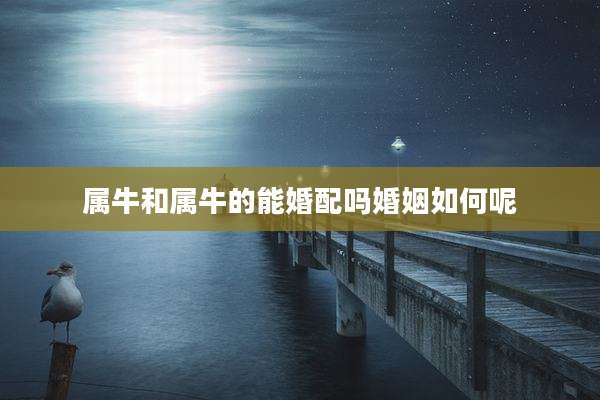 属牛和属牛的能婚配吗婚姻如何呢