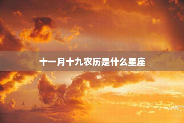 十一月十九农历是什么星座