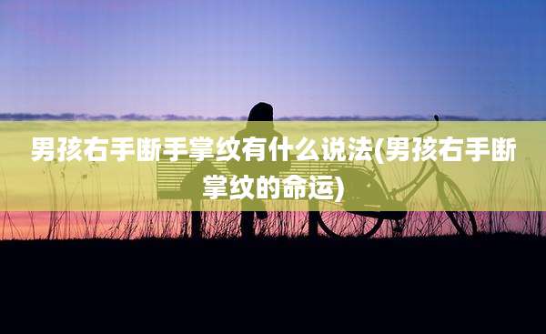 男孩右手断手掌纹有什么说法(男孩右手断掌纹的命运)