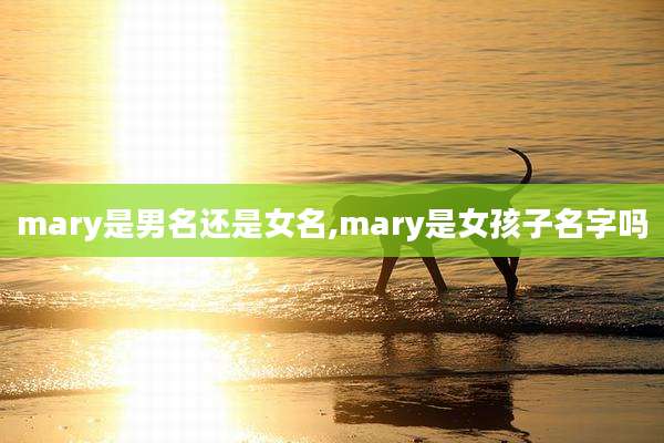 mary是男名还是女名,mary是女孩子名字吗