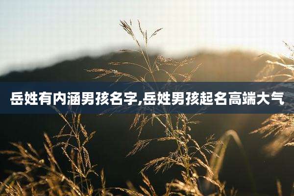 岳姓有内涵男孩名字,岳姓男孩起名高端大气