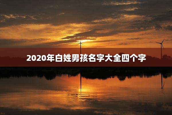 2020年白姓男孩名字大全四个字