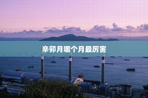 辛卯月哪个月最厉害