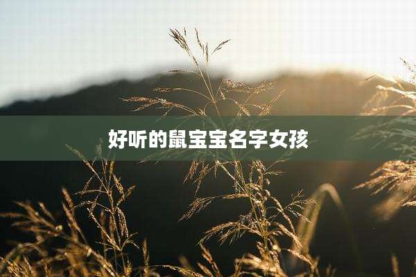 好听的鼠宝宝名字女孩