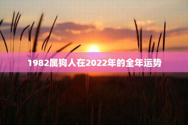 1982属狗人在2022年的全年运势