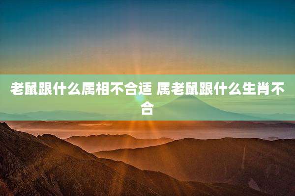 老鼠跟什么属相不合适 属老鼠跟什么生肖不合