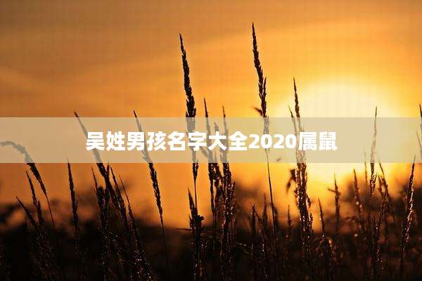 吴姓男孩名字大全2020属鼠