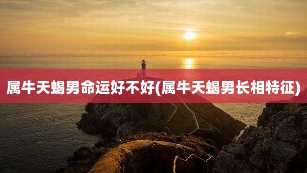 属牛天蝎男命运好不好(属牛天蝎男长相特征)