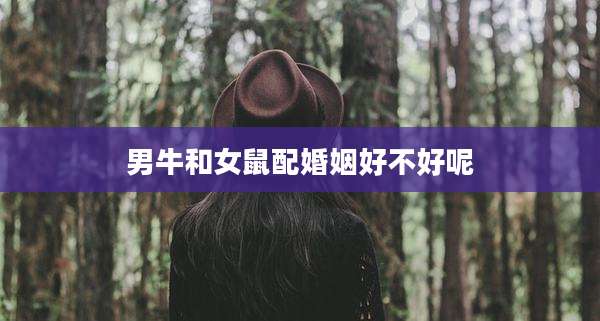 男牛和女鼠配婚姻好不好呢