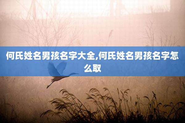何氏姓名男孩名字大全,何氏姓名男孩名字怎么取