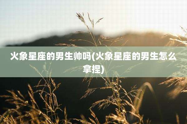 火象星座的男生帅吗(火象星座的男生怎么拿捏)