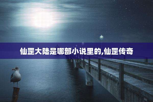 仙罡大陆是哪部小说里的,仙罡传奇