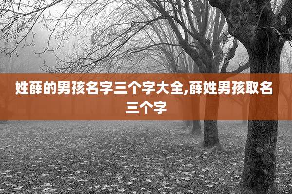 姓薛的男孩名字三个字大全,薛姓男孩取名 三个字