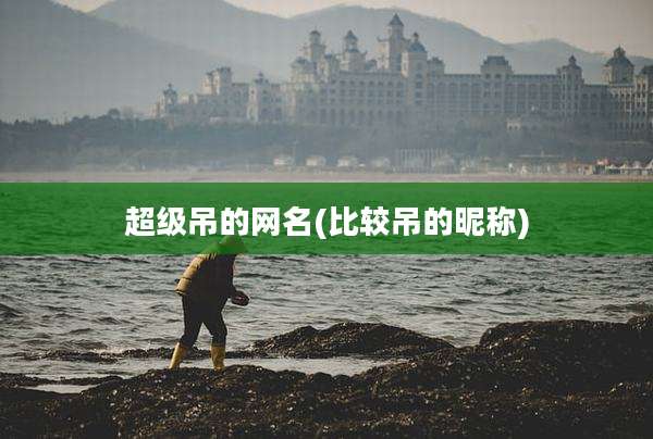 超级吊的网名(比较吊的昵称)