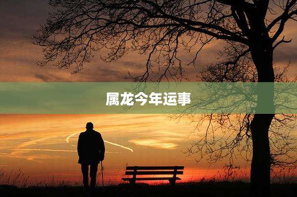 属龙今年运事