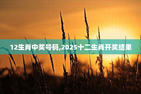 12生肖中奖号码,2025十二生肖开奖结果
