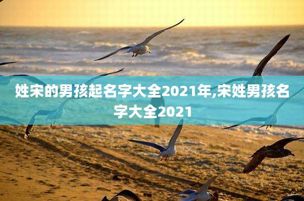 姓宋的男孩起名字大全2021年,宋姓男孩名字大全2021