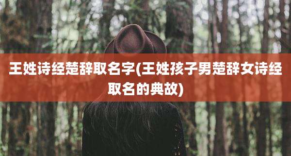 王姓诗经楚辞取名字(王姓孩子男楚辞女诗经取名的典故)