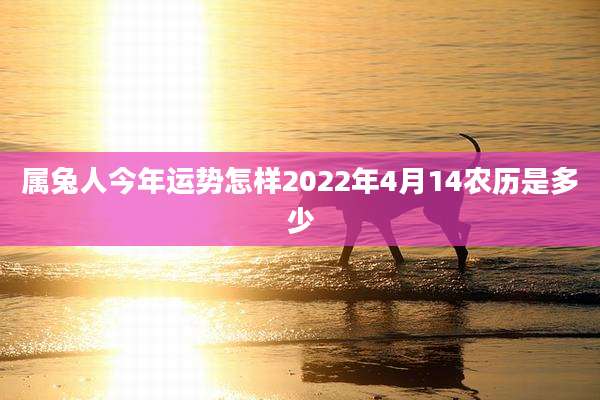 属兔人今年运势怎样2022年4月14农历是多少