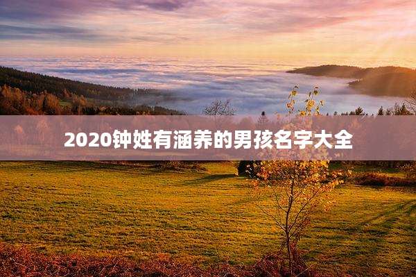 2020钟姓有涵养的男孩名字大全