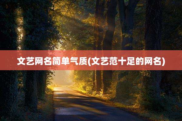 文艺网名简单气质(文艺范十足的网名)
