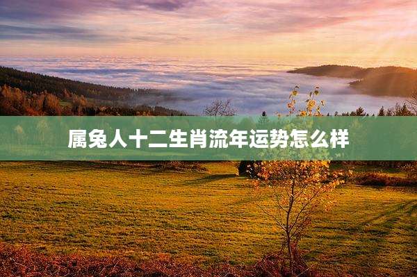 属兔人十二生肖流年运势怎么样