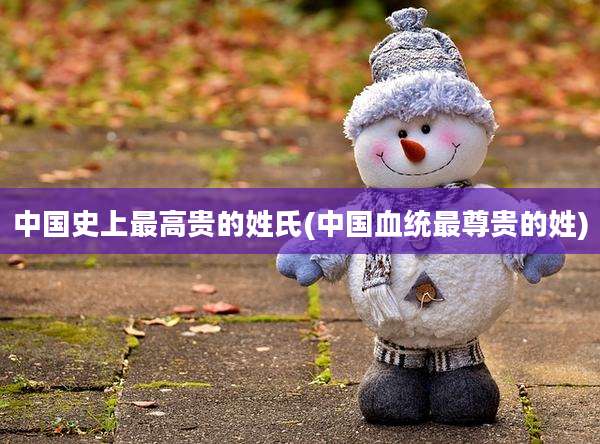 中国史上最高贵的姓氏(中国血统最尊贵的姓)