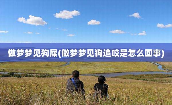 做梦梦见狗屎(做梦梦见狗追咬是怎么回事)