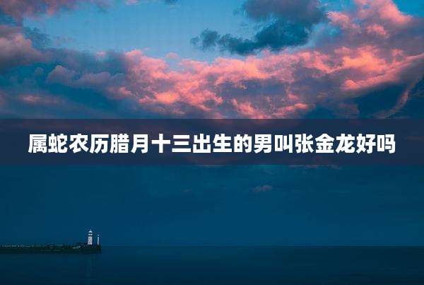 属蛇农历腊月十三出生的男叫张金龙好吗