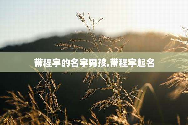 带程字的名字男孩,带程字起名