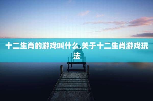 十二生肖的游戏叫什么,关于十二生肖游戏玩法