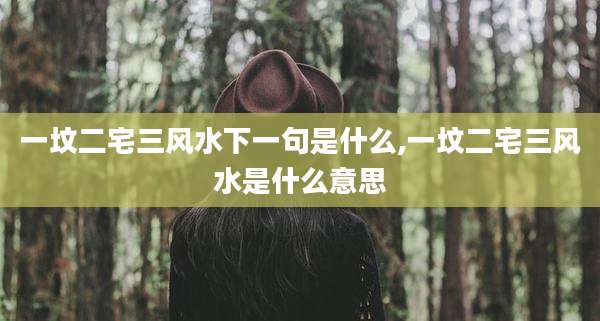 一坟二宅三风水下一句是什么,一坟二宅三风水是什么意思
