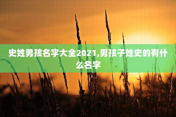 史姓男孩名字大全2021,男孩子姓史的有什么名字