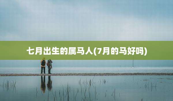 七月出生的属马人(7月的马好吗)